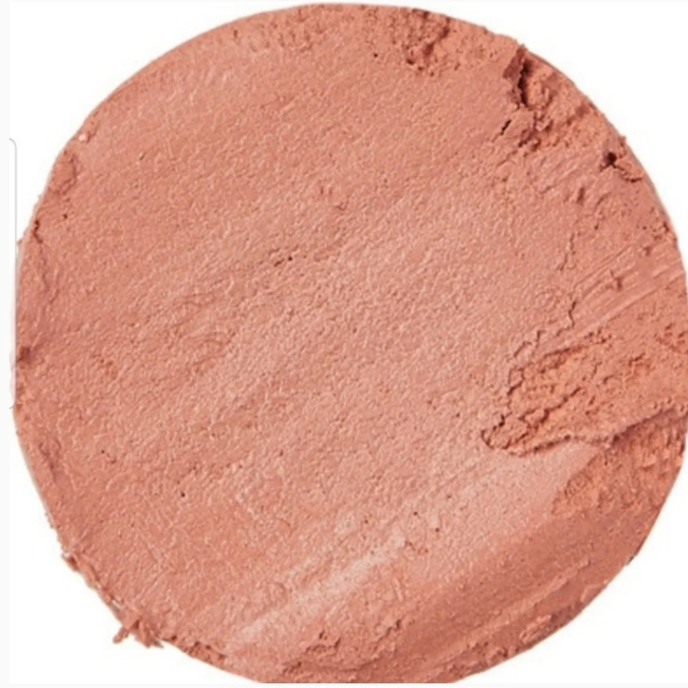 🧚‍♀️PINKY NUDE SINNER Lipstick Queen RARE Lipstick NWOBox